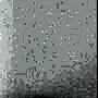 базальт-гл