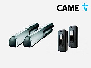 Came